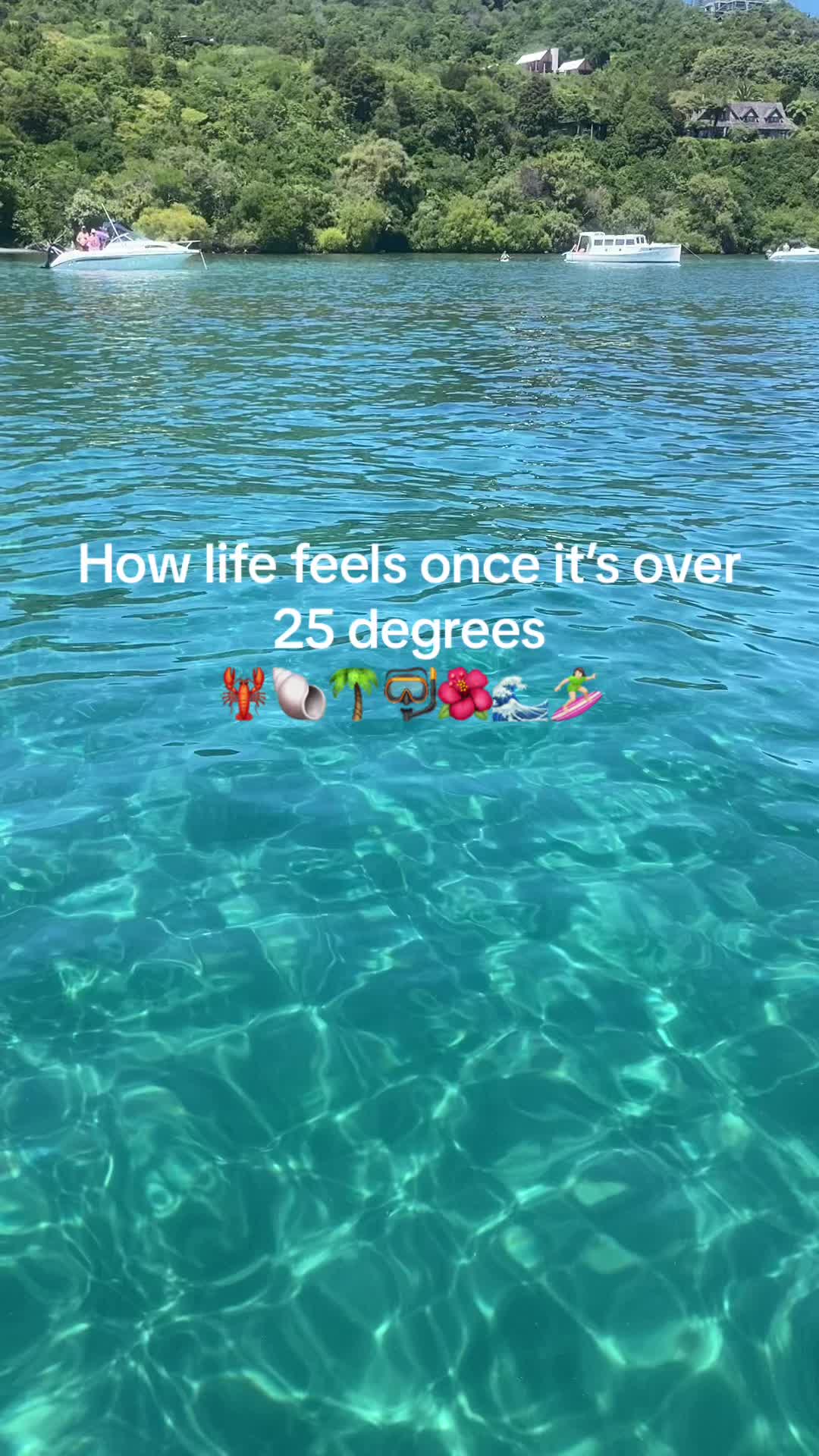 @🤿🌊🌺🐚☀️🦭