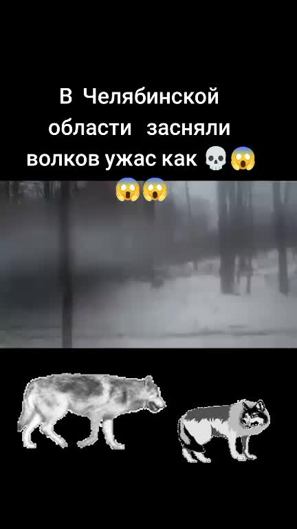 @Натали 🥰🥰🥰🥰☑️☑️☑️