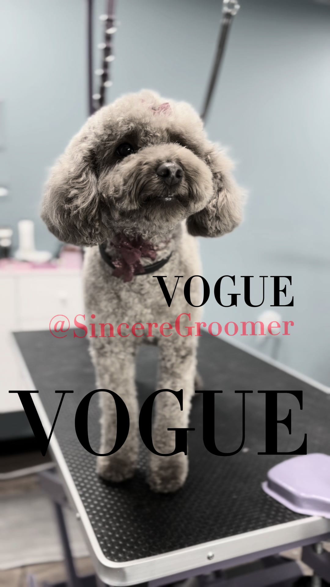 @Sincere Groomer