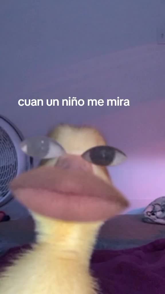 @mariana_montes0967
