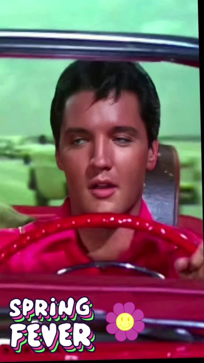 Spring Fether Song #springfever #elvispresley | ☆☆☆☆ SINGERS ☆☆☆☆ (@elvissingersandsongs0)