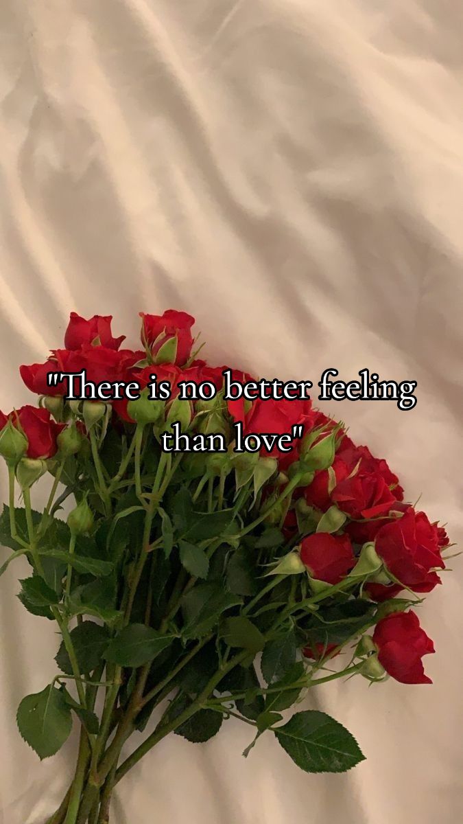 @・❥・𝓜𝓲𝓬𝓱𝓮𝓵𝓵𝓮・❥・
