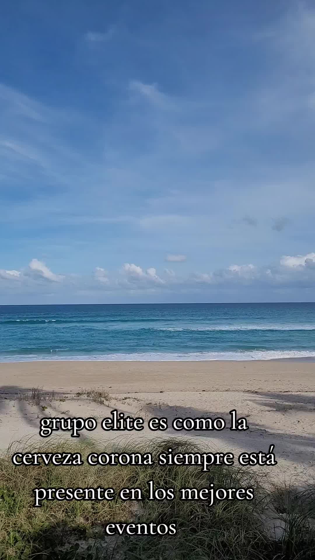 @El sic&oacute;logo de la garza