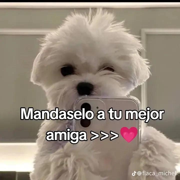 @Zoe Villegas 💗