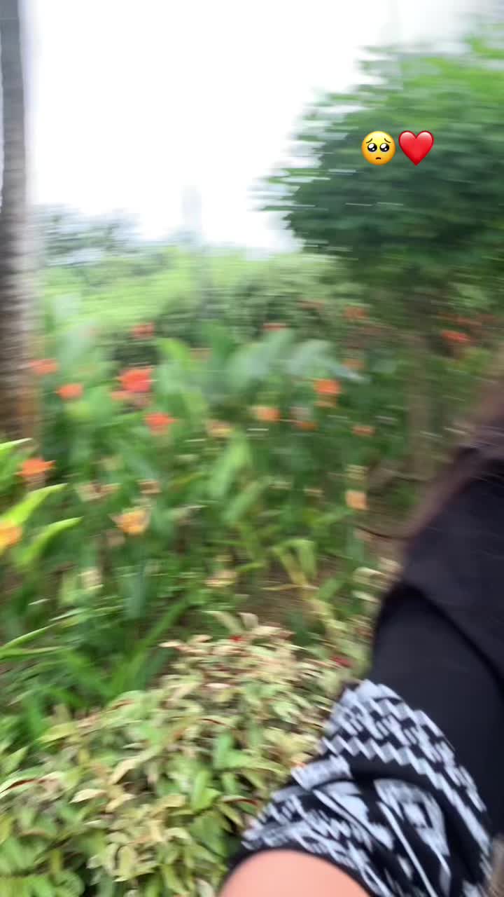 @🥺❤️&zwj;🩹