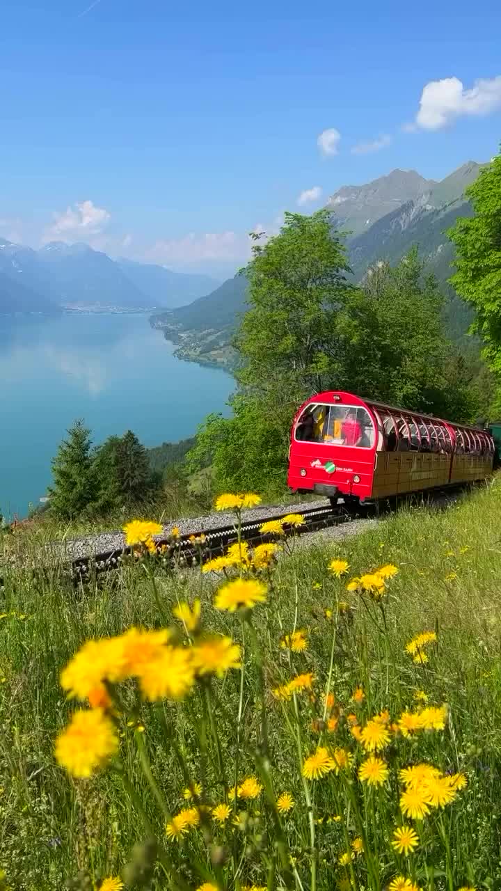 @Switzerland Guide 🇨🇭