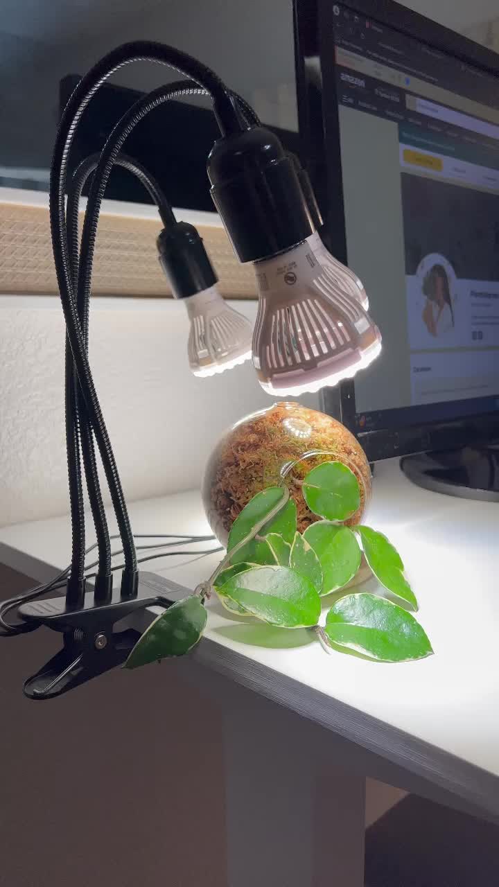 @Plantstagram.ish