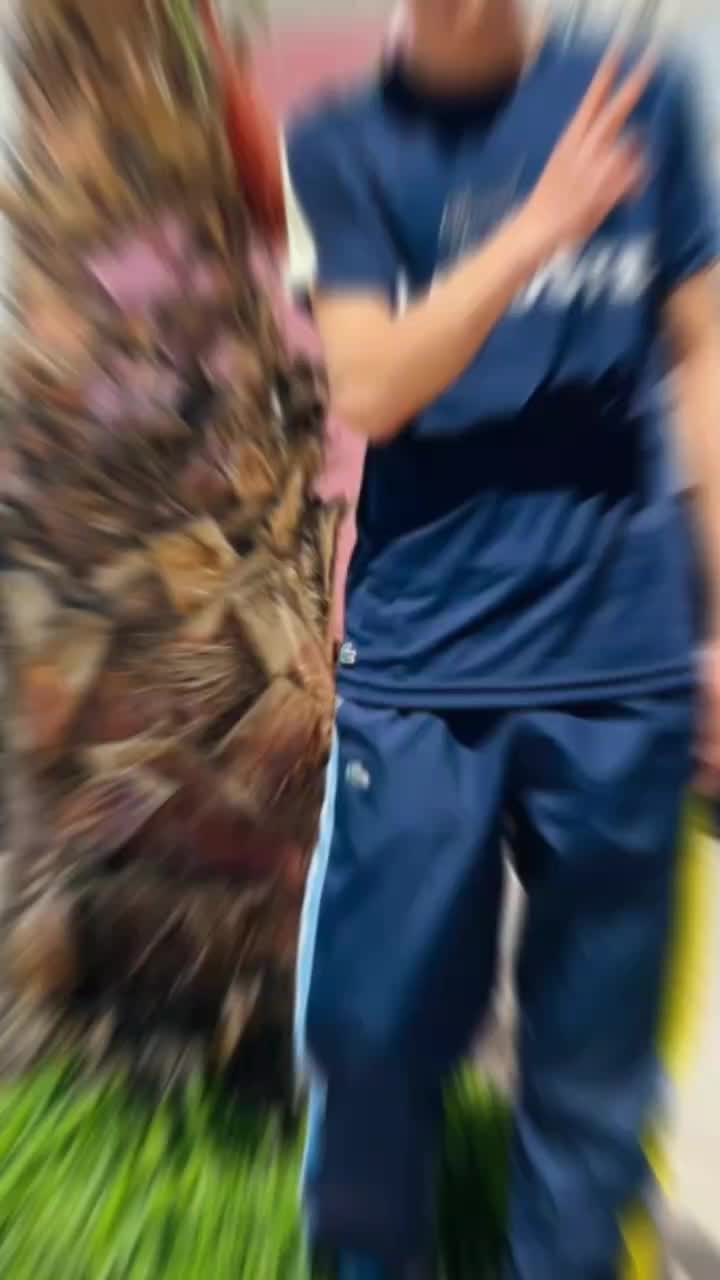 @&Atilde;m&iuml; Nę