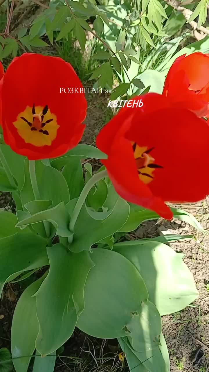 @Юлічка😊