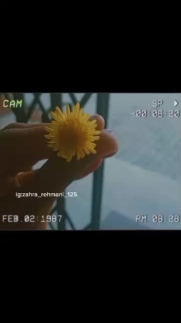 @Mehwish_With_USA