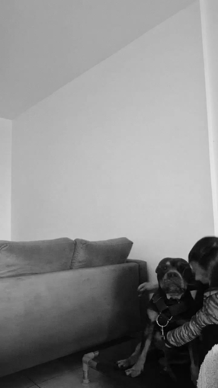 @Agus y Tarantino 💛🐶