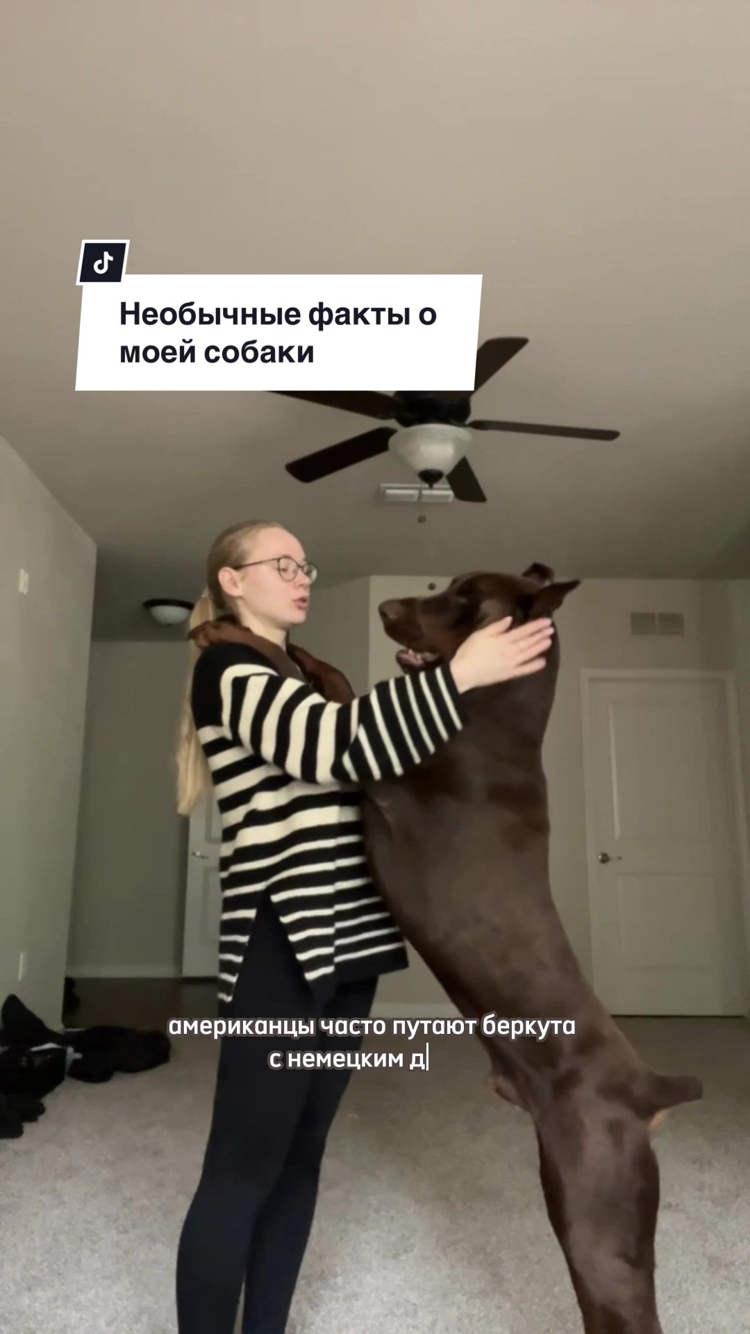 @Инна | Беркут