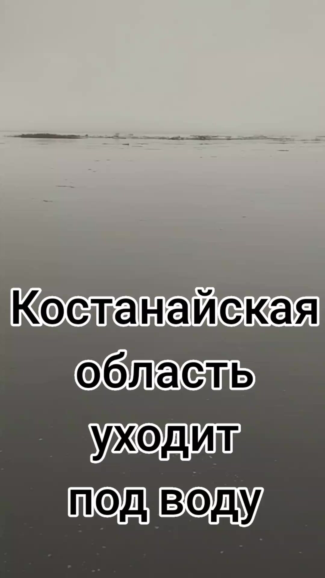 @omansio
