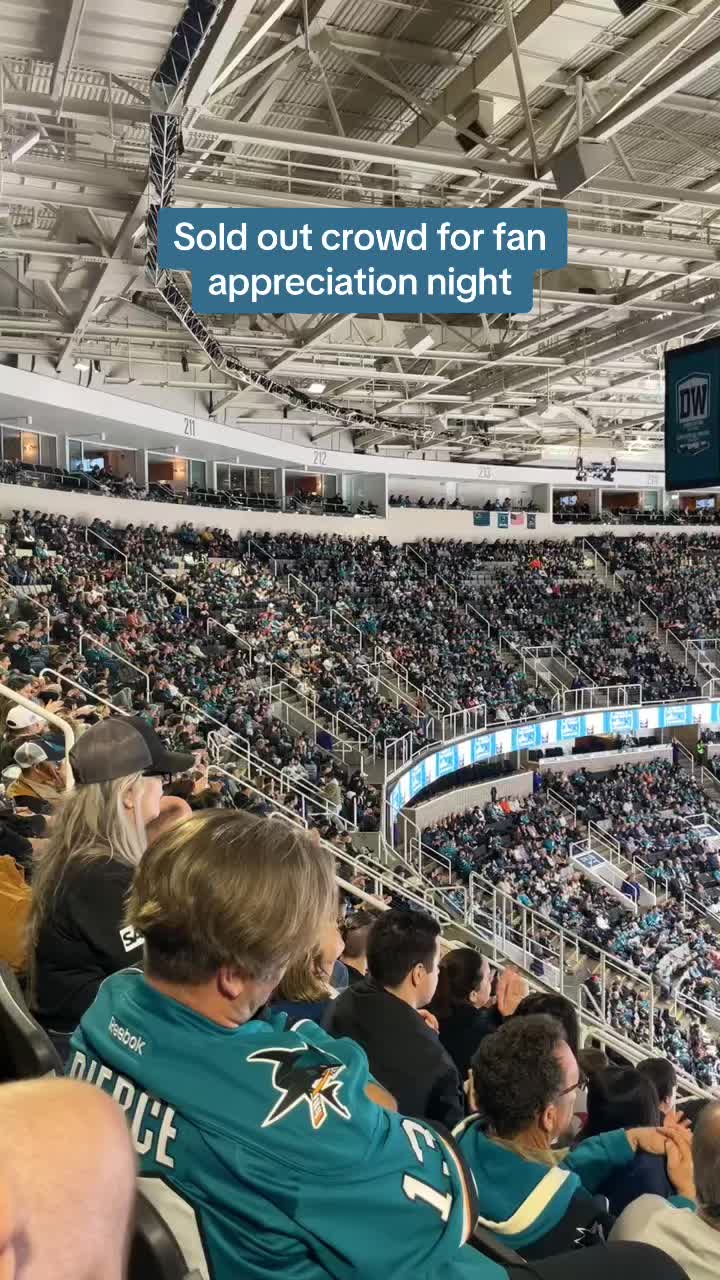 @Shark