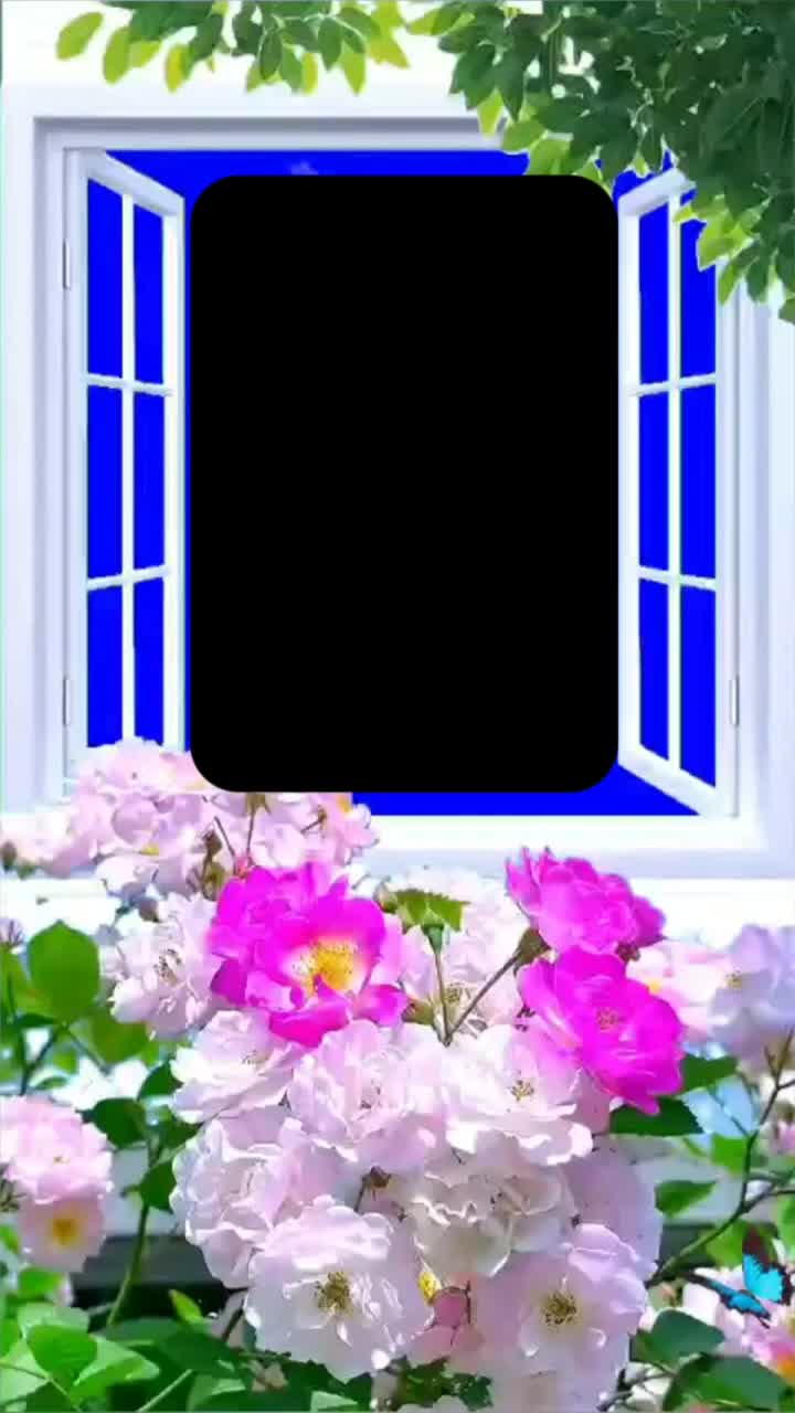 @rehankcyaqy