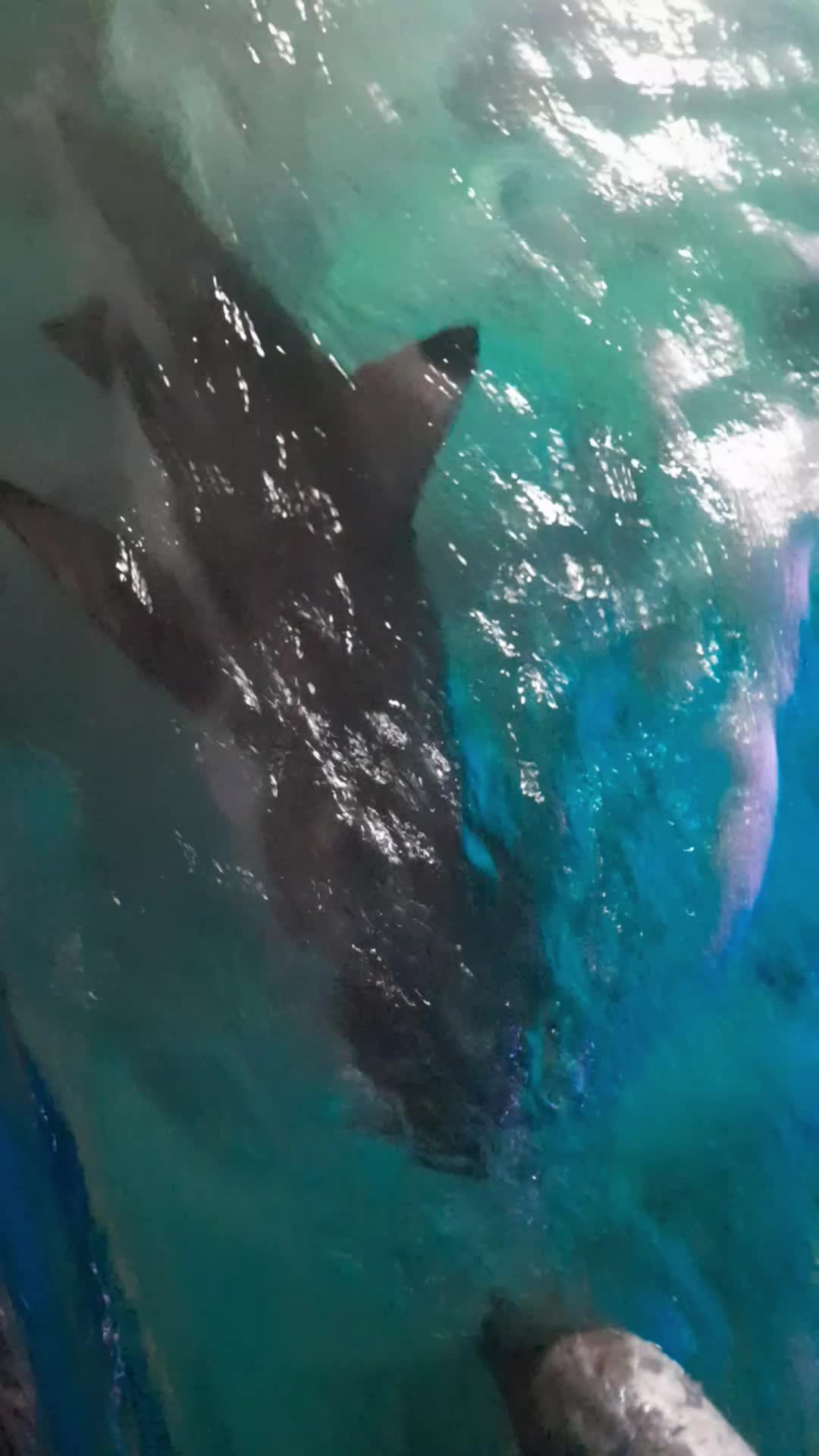 @NEYUMARR