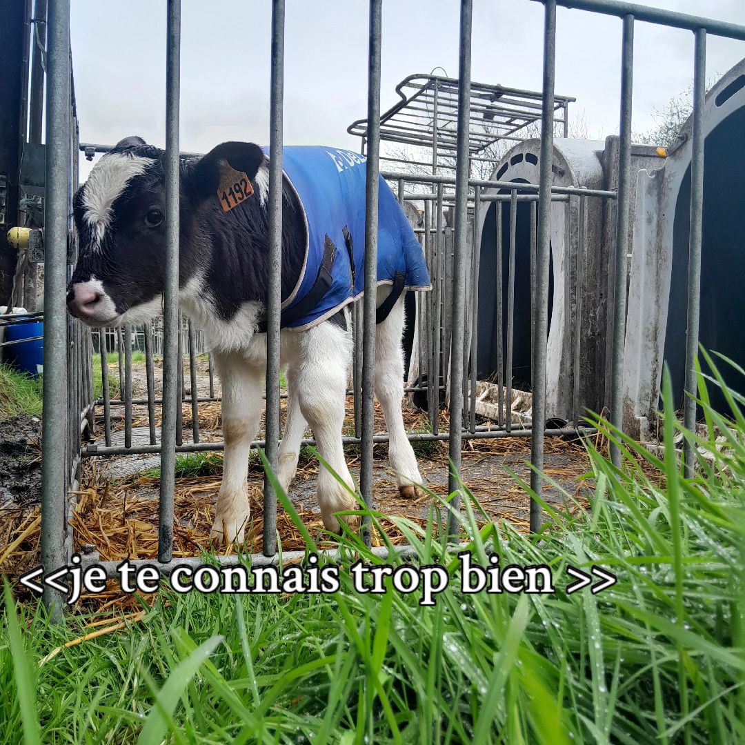 @T🅰️NCREDE 🚜🐄