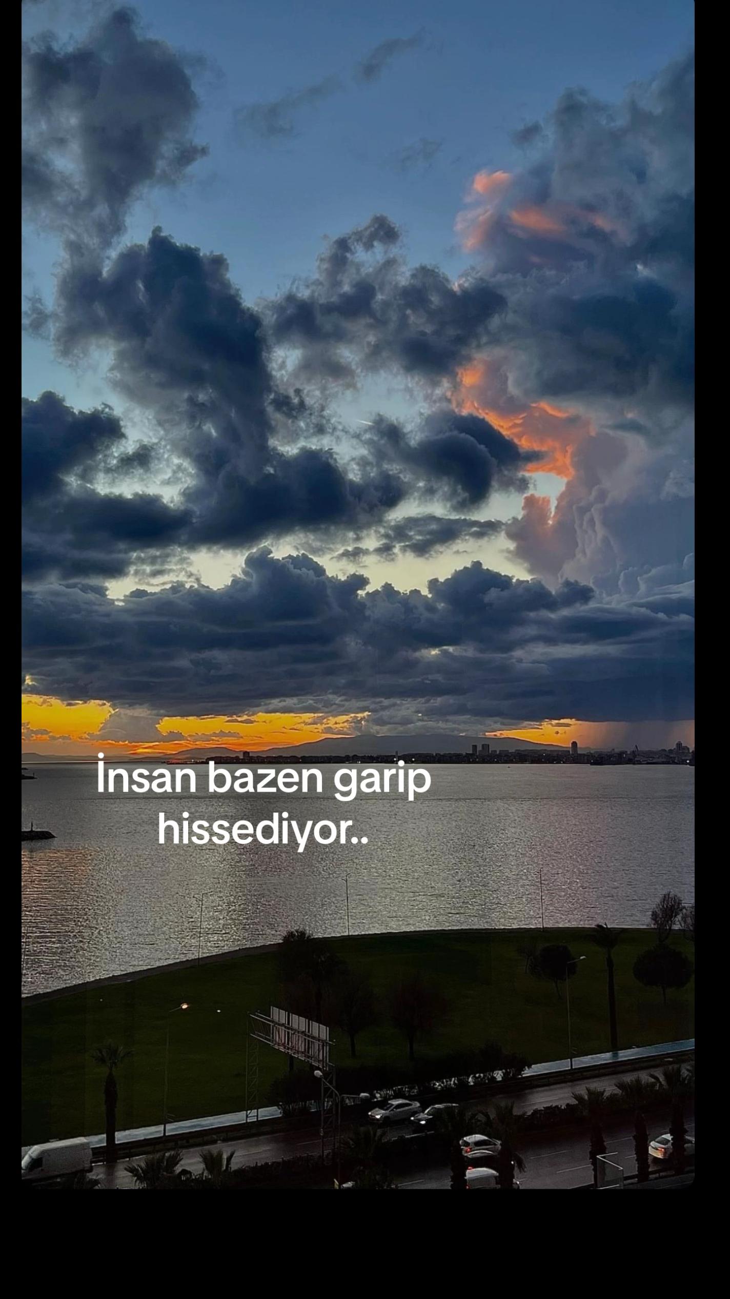 @&Ouml;zge Aksu