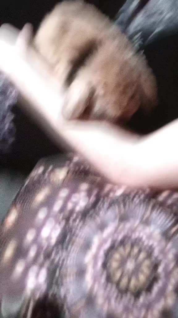 @dammastadon