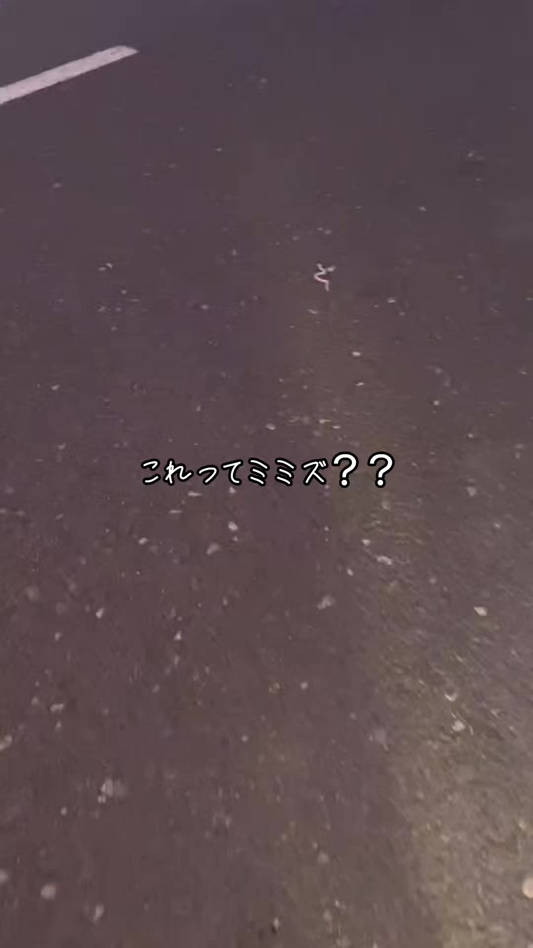 @バズらないと嫌〜