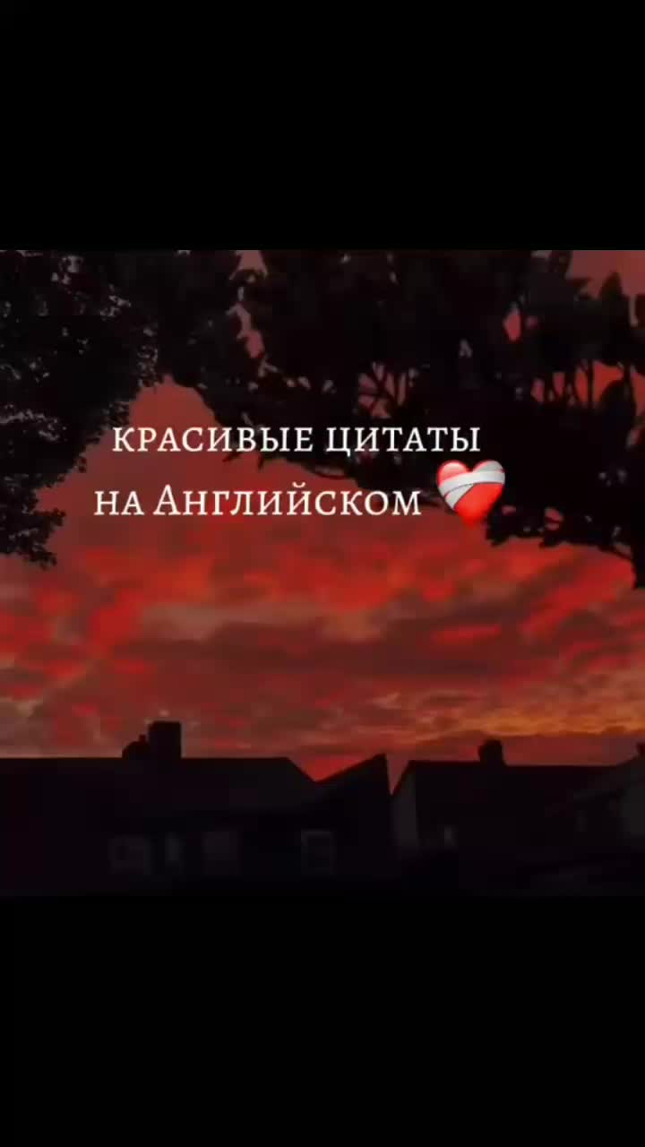 @бабочка 🦋 букеты