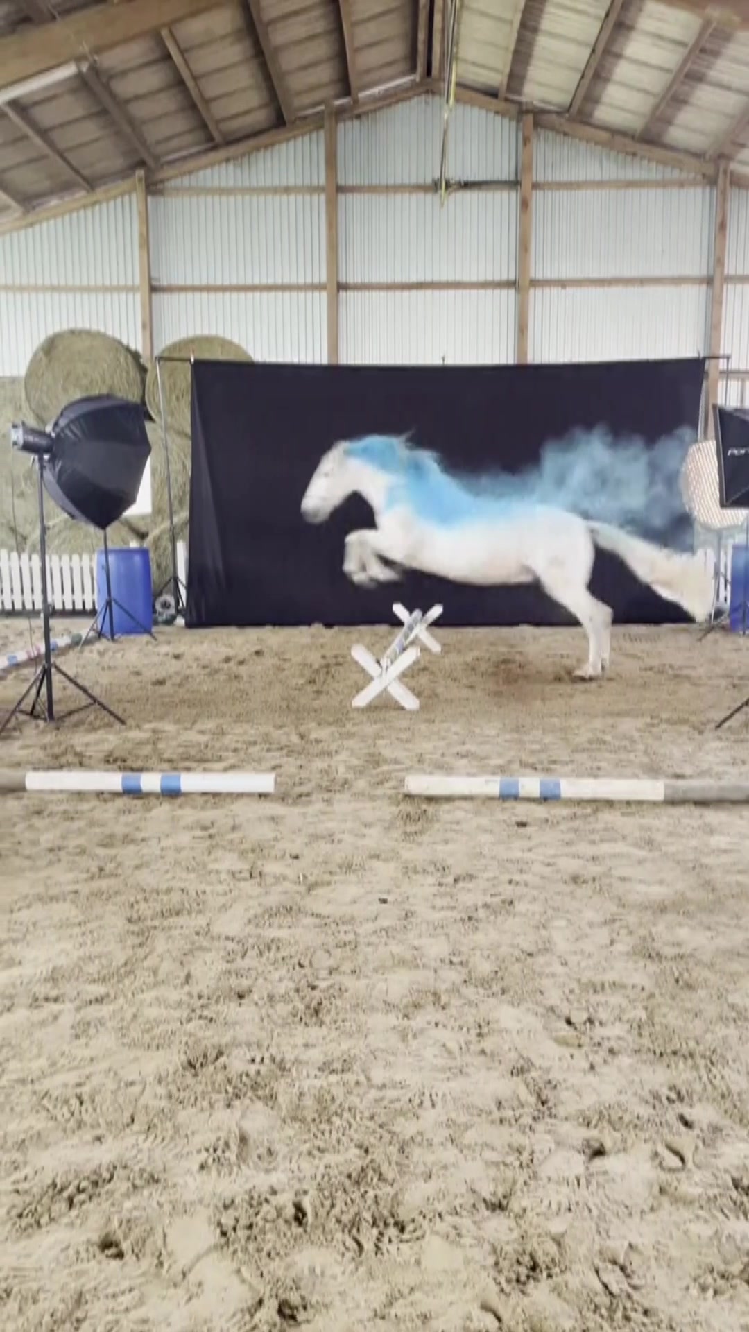 @Andrea Zachrau Photography