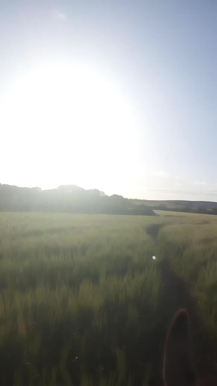 @🐑🐎🇦 🇩 🇪 🇲🚜🌾