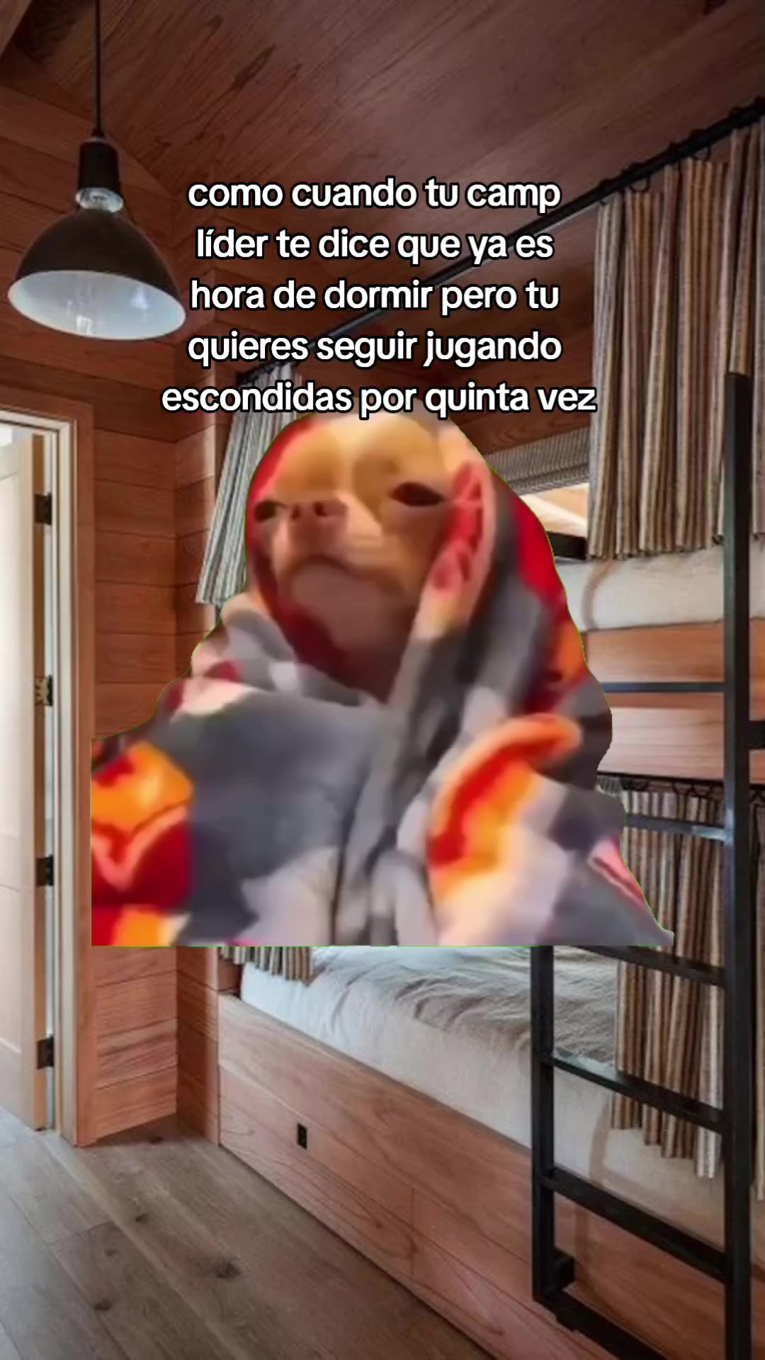 @Live Camp Campamentos