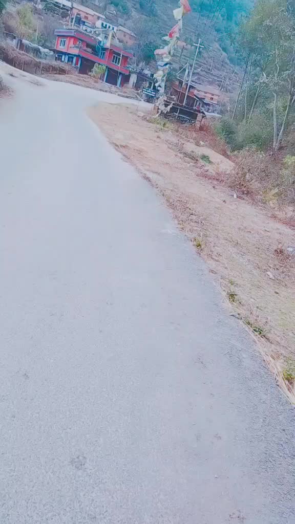 @laxmibalami133