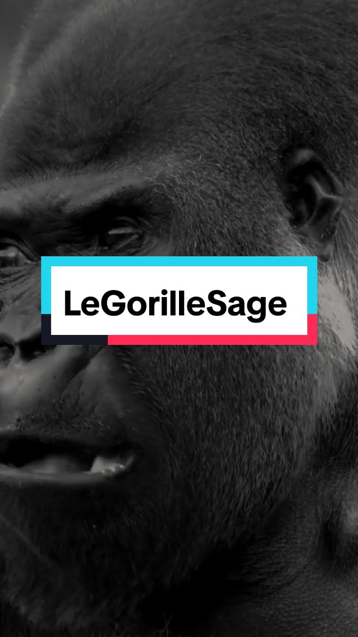 @LeGorilleSage