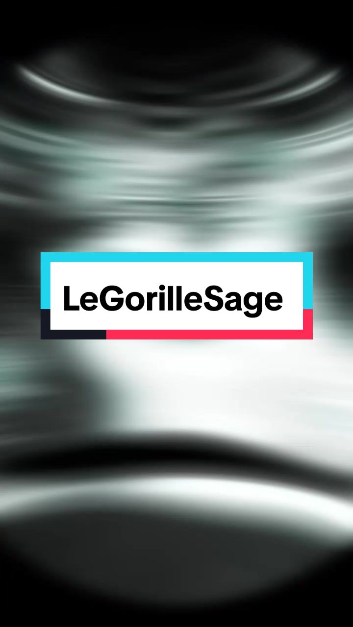 @LeGorilleSage