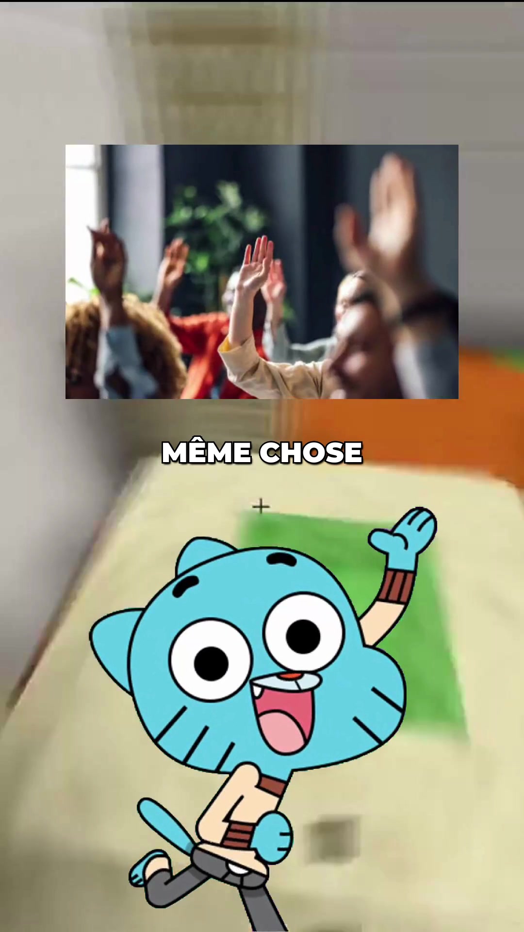 @Darwin&Gumball