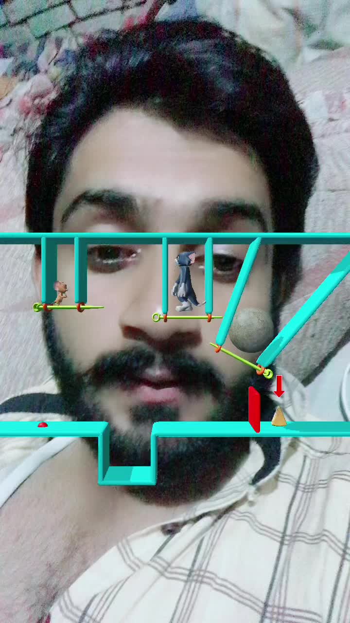 @MT Digital