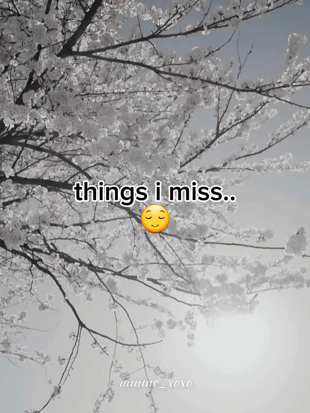 @ᜣꪊᜣᜣꪗꫝꪊꪀ🐾