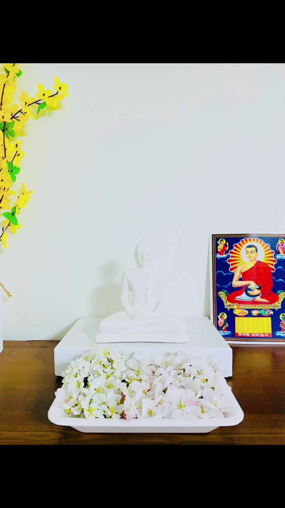 @Sachi imasha සචී 🇰🇷