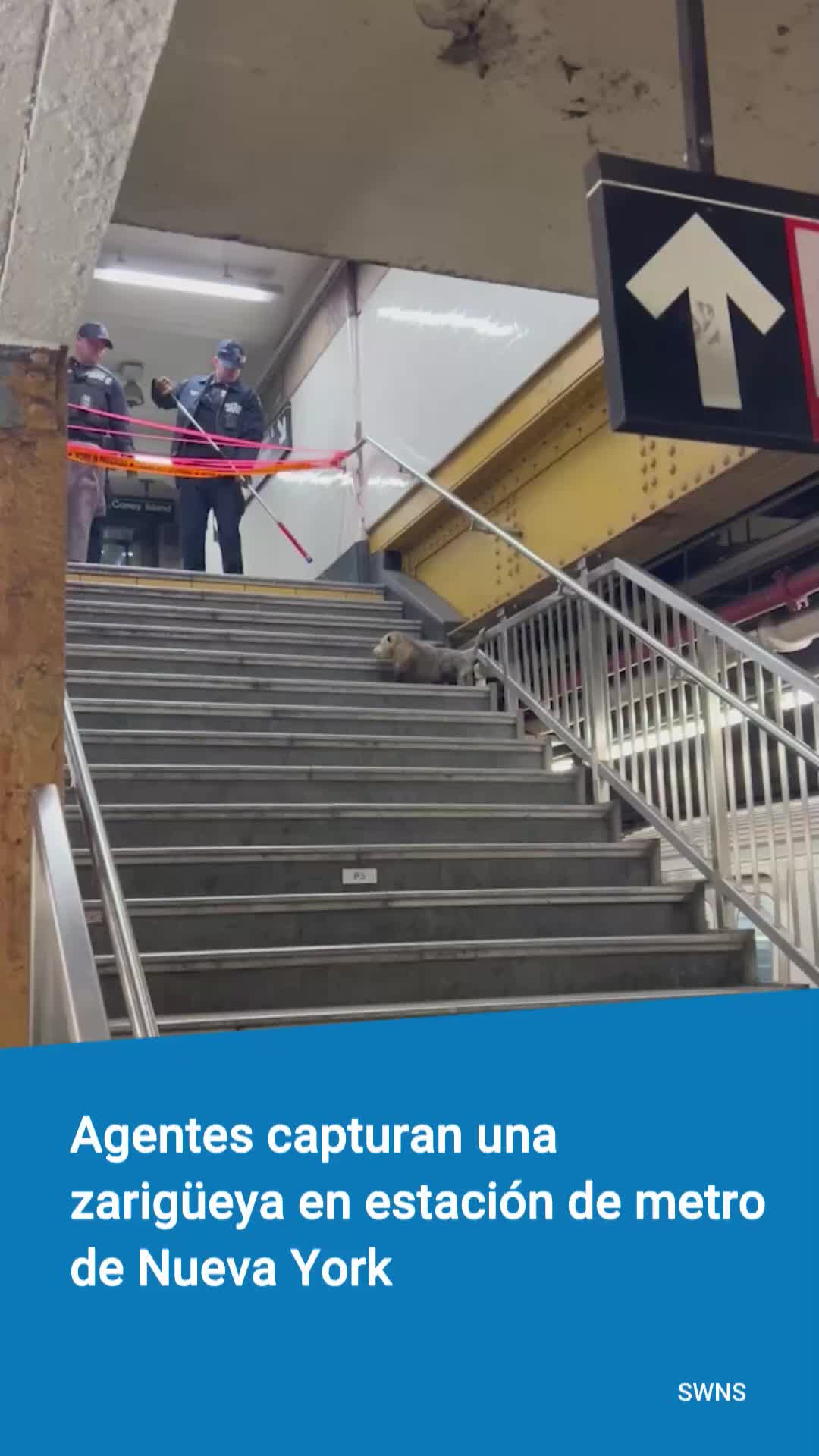 @eldiariony