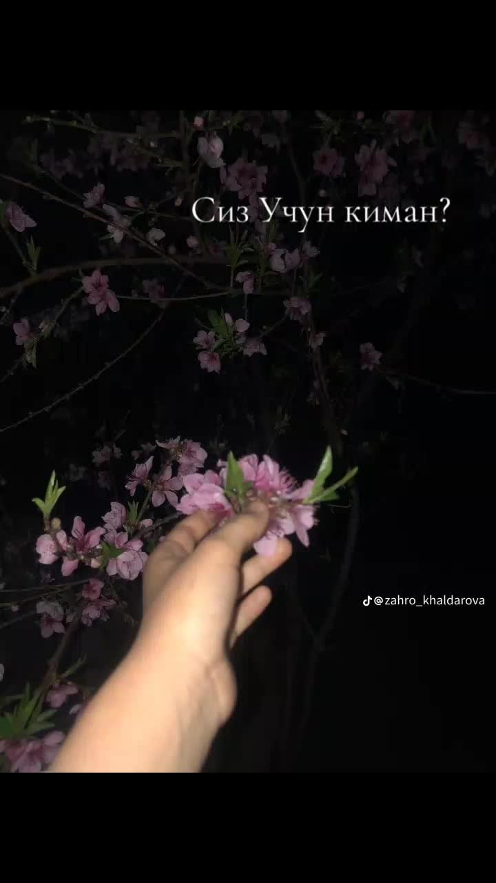 @_Ryhshona_