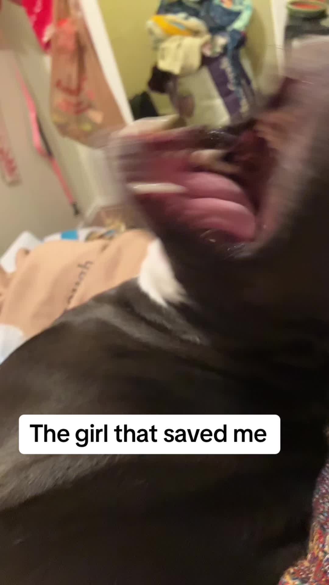 @devenellelockamy