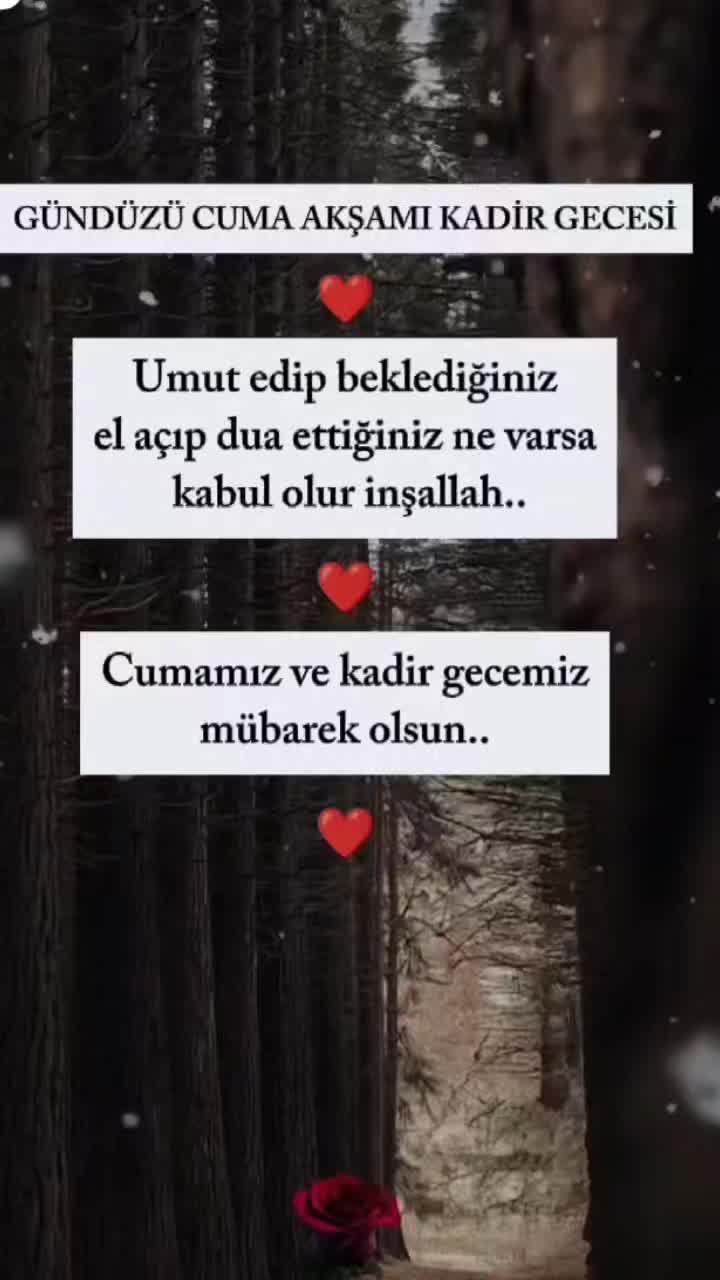 @aysel_ 2734