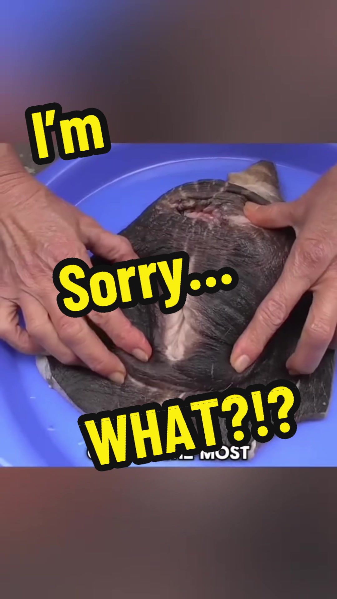 @Rich