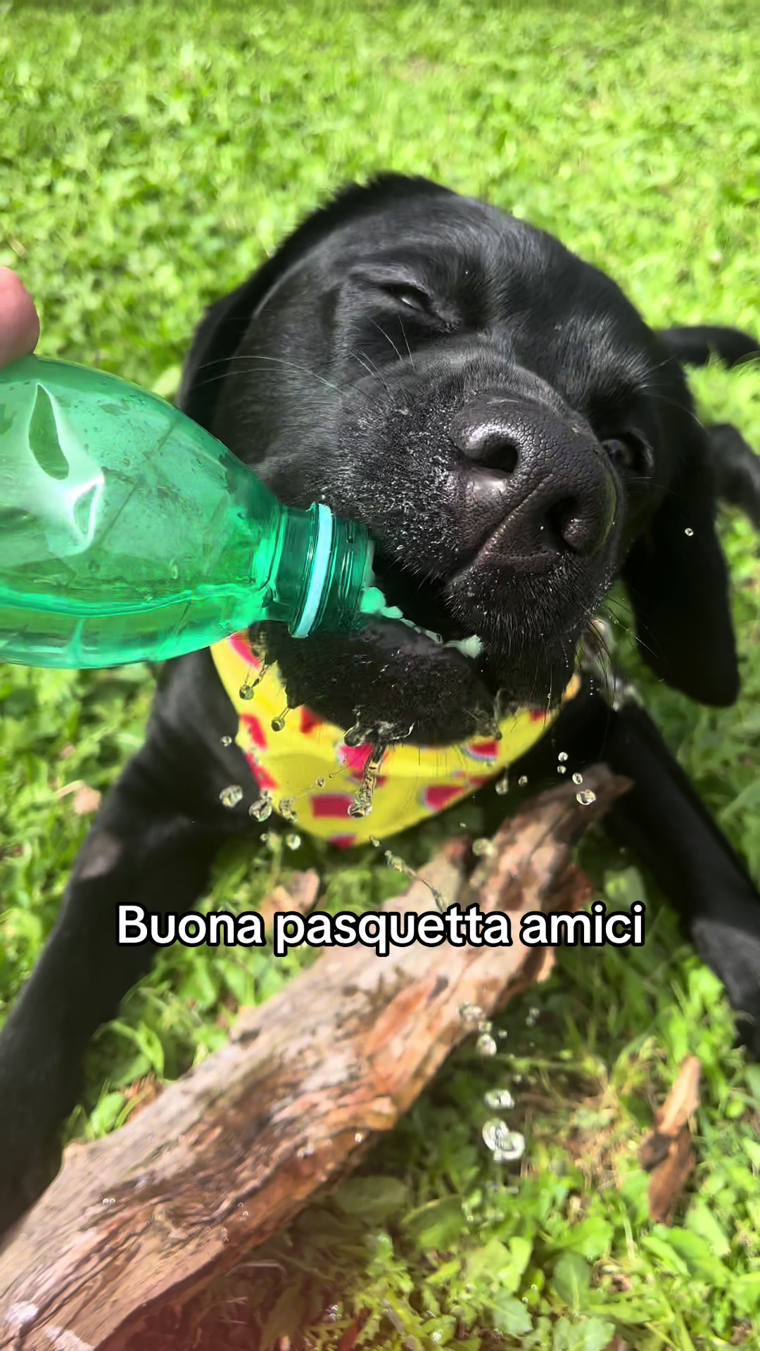 @Cloe e sabry🖤🐾