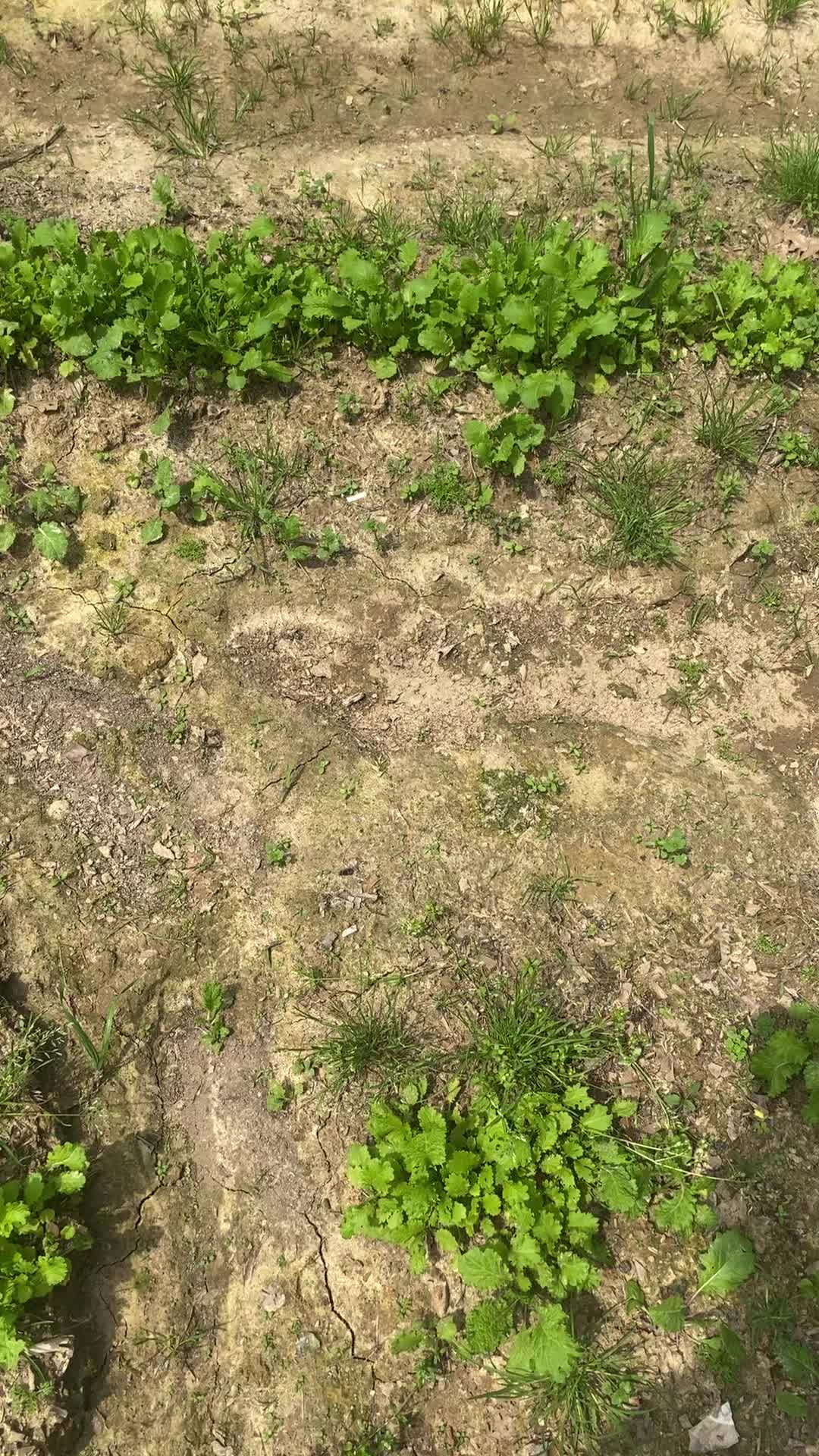@GrowWithReko