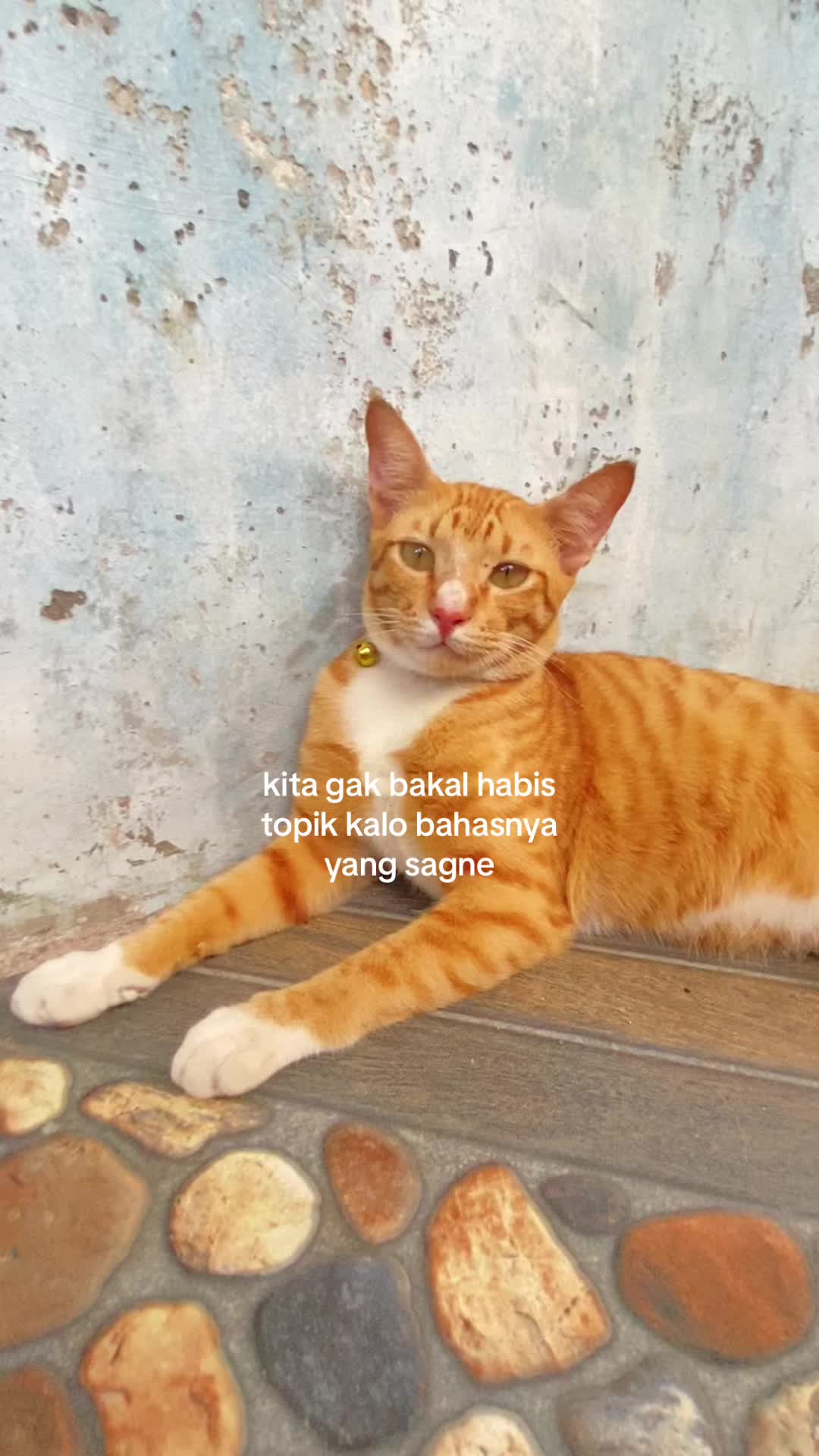@najuanazrilas