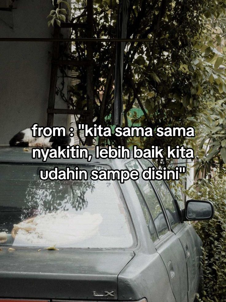 @˚˖𓍢ִִ໋🌊🦈˚˖𓍢ִ✧˚