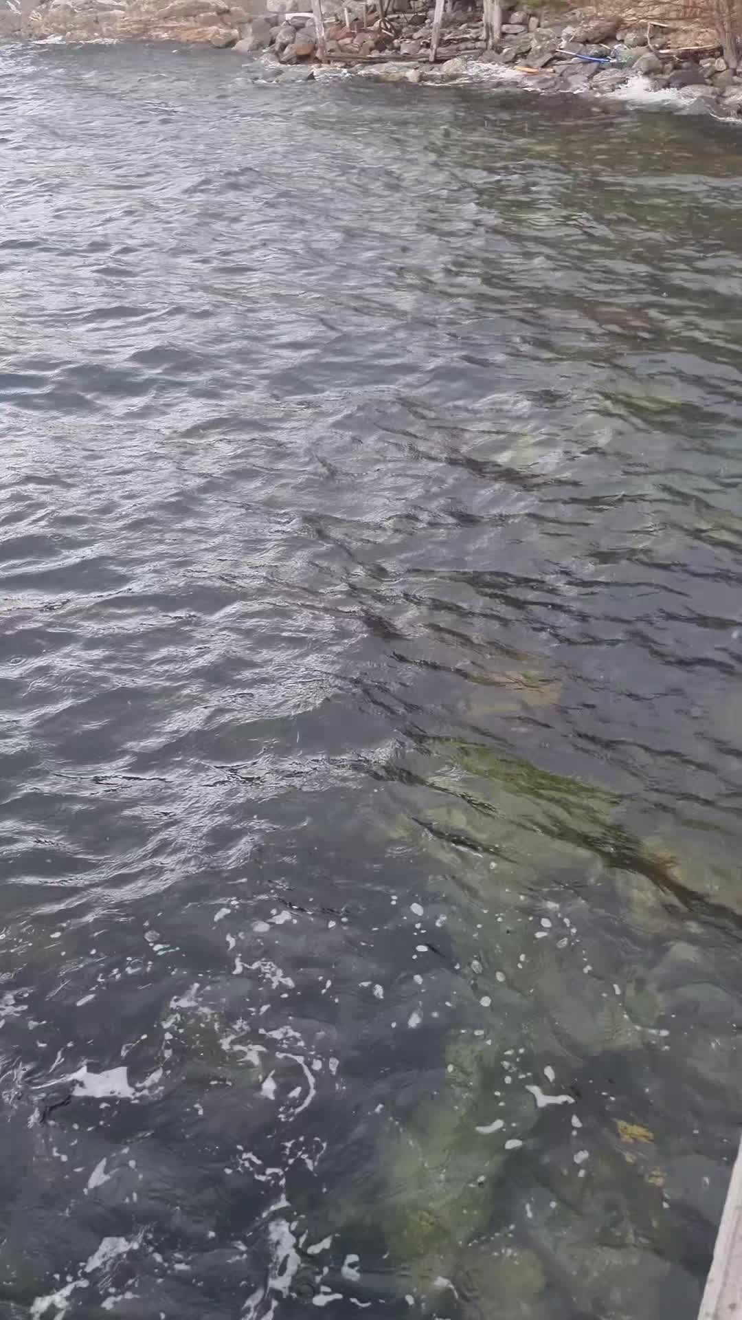 @PM💚