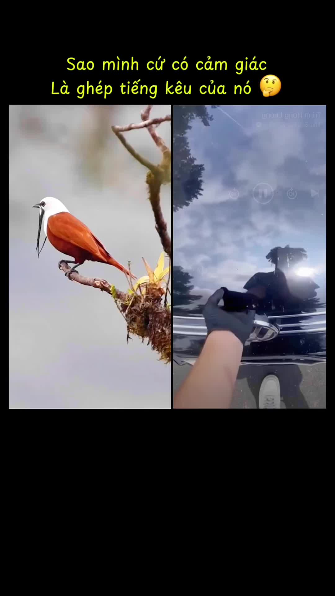 @Trọng Trần 87