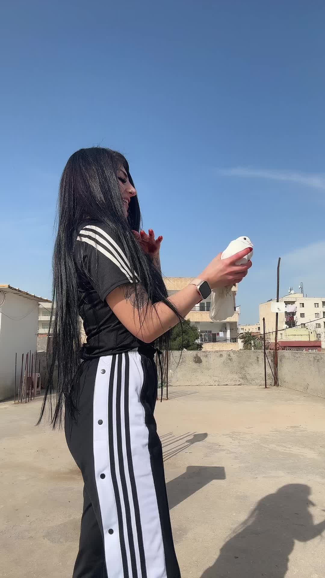 @ipoocan2763