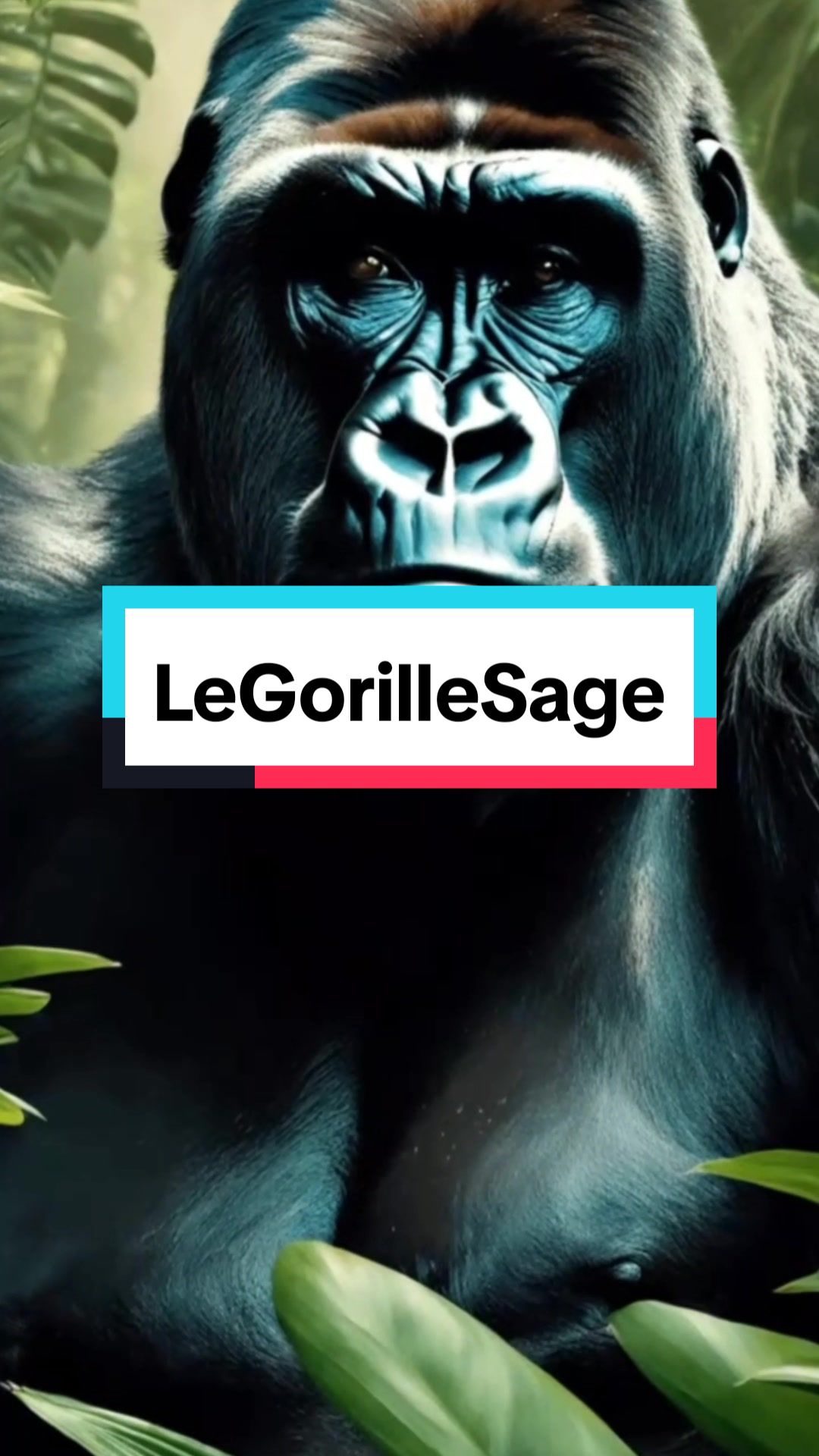@LeGorilleSage
