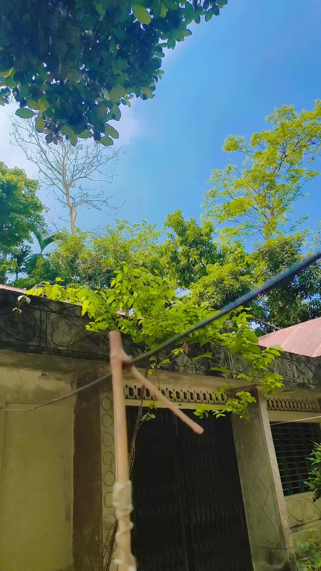 @Shipa 🥰🥰
