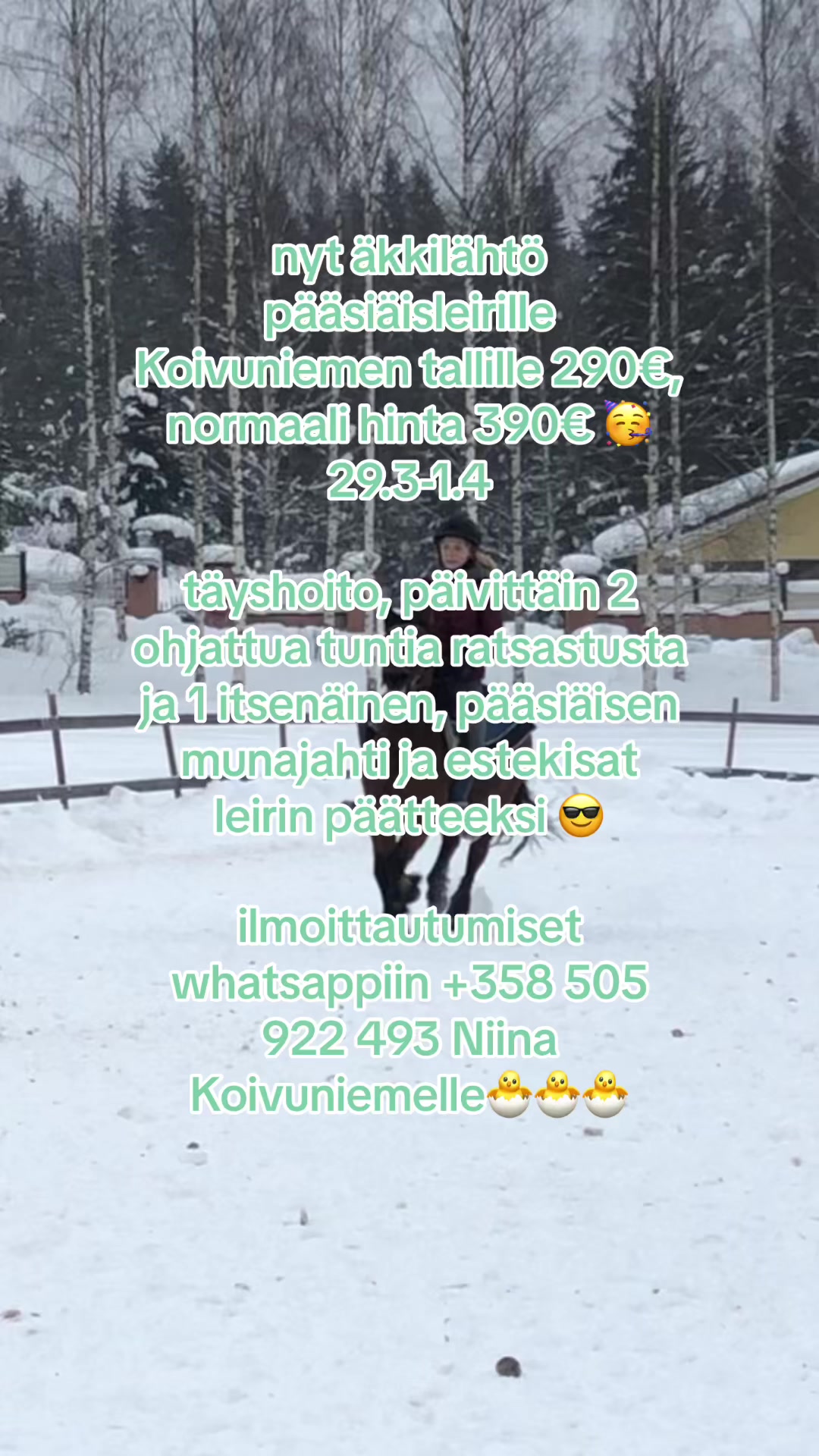 @Koivuniemen talli 🦄